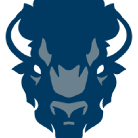 bison